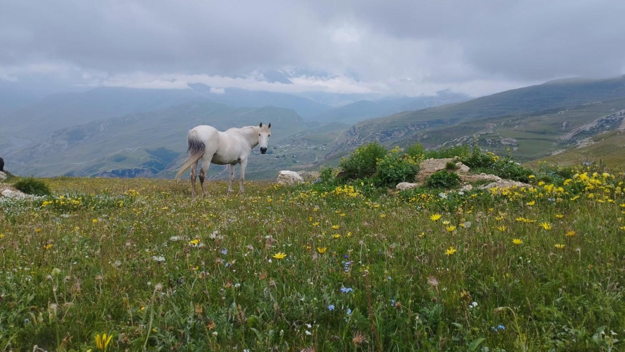 Zaur Guest Hause Hotel Xinaliq Bagian luar foto